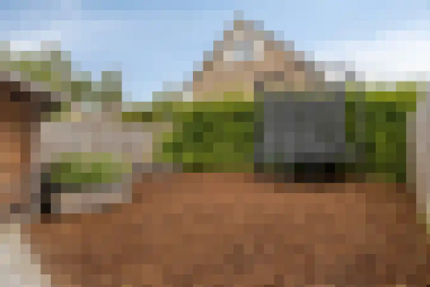 van Vollenhovenstraat 15 Hulst thumbnail 29