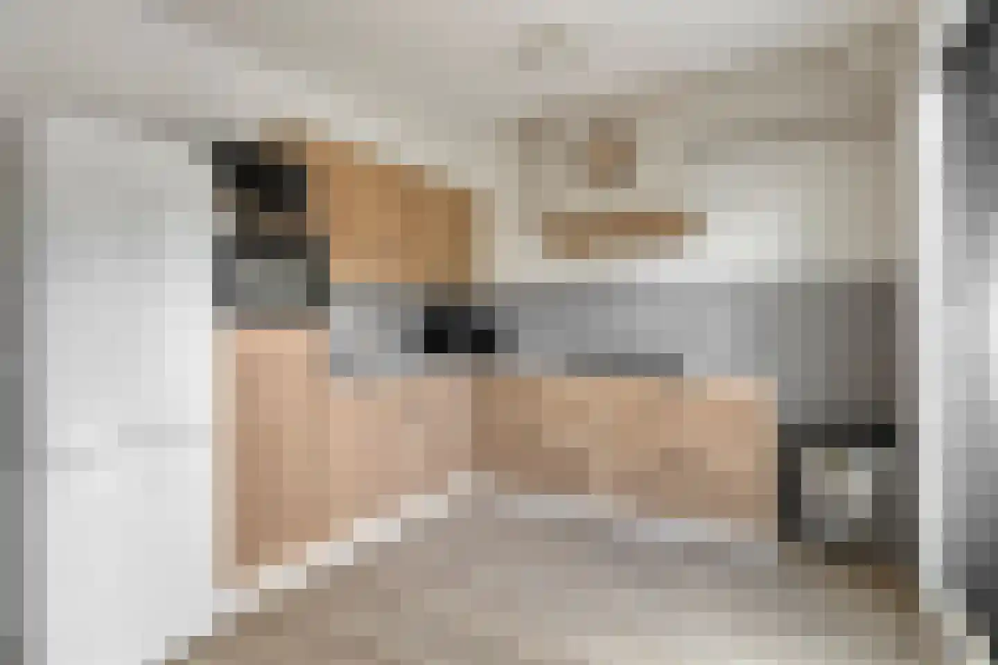 van Vollenhovenstraat 15 Hulst thumbnail 4