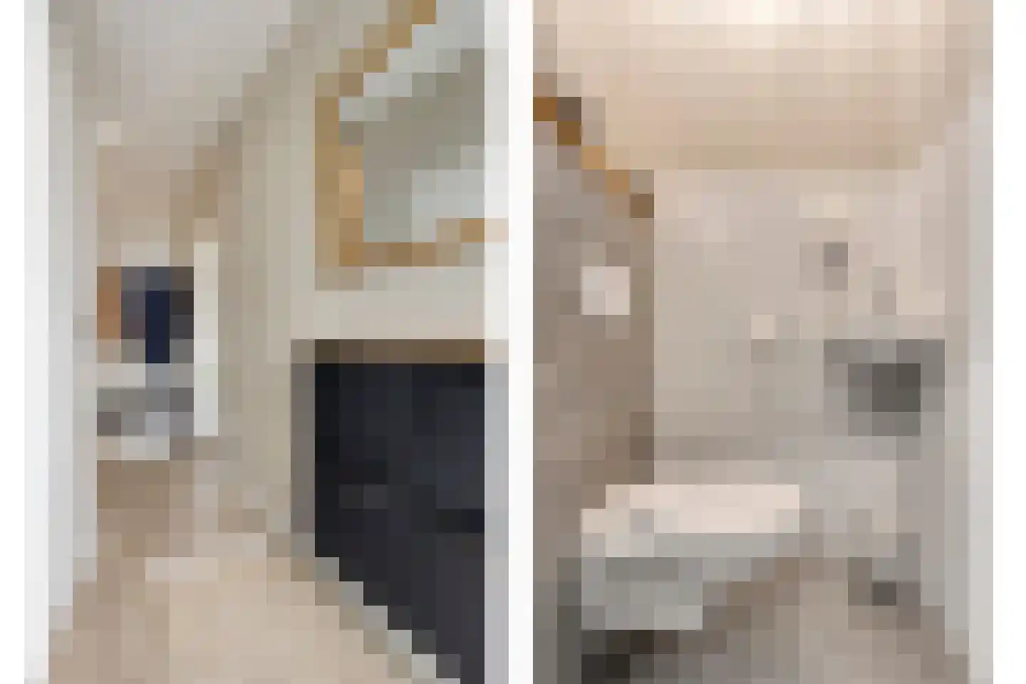 van Vollenhovenstraat 15 Hulst thumbnail 5