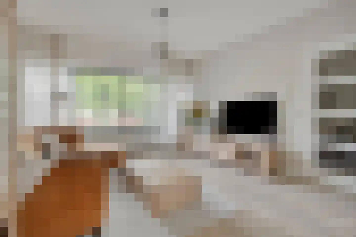van Vollenhovenstraat 15 Hulst thumbnail 6