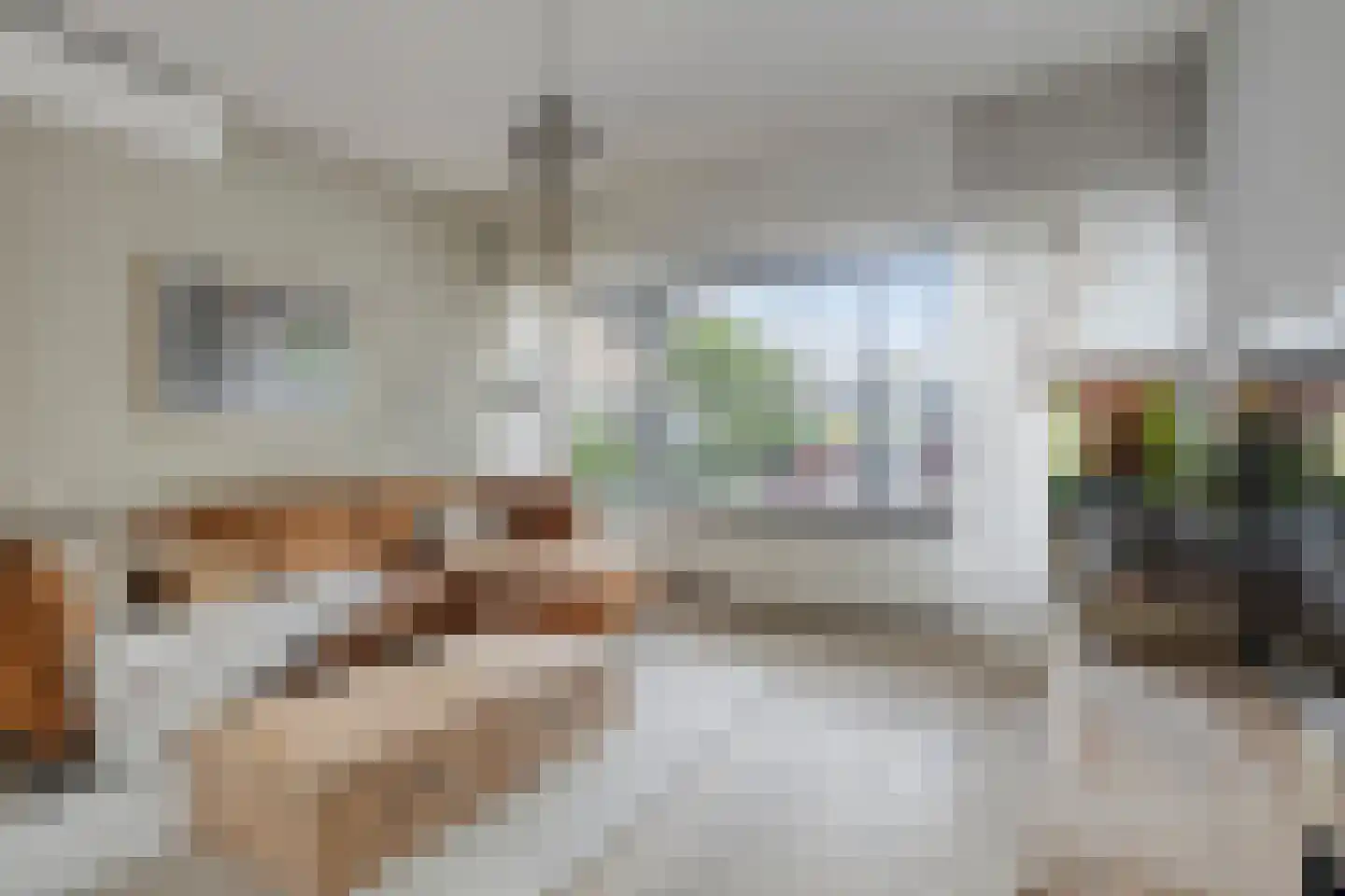van Vollenhovenstraat 15 Hulst thumbnail 7