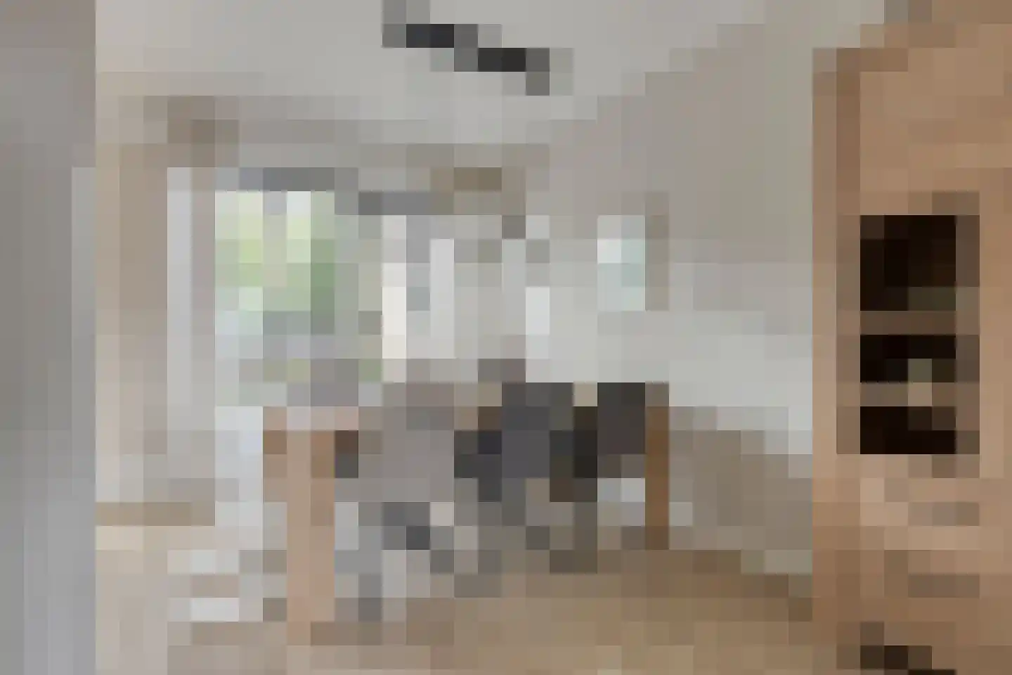 van Vollenhovenstraat 15 Hulst thumbnail 8