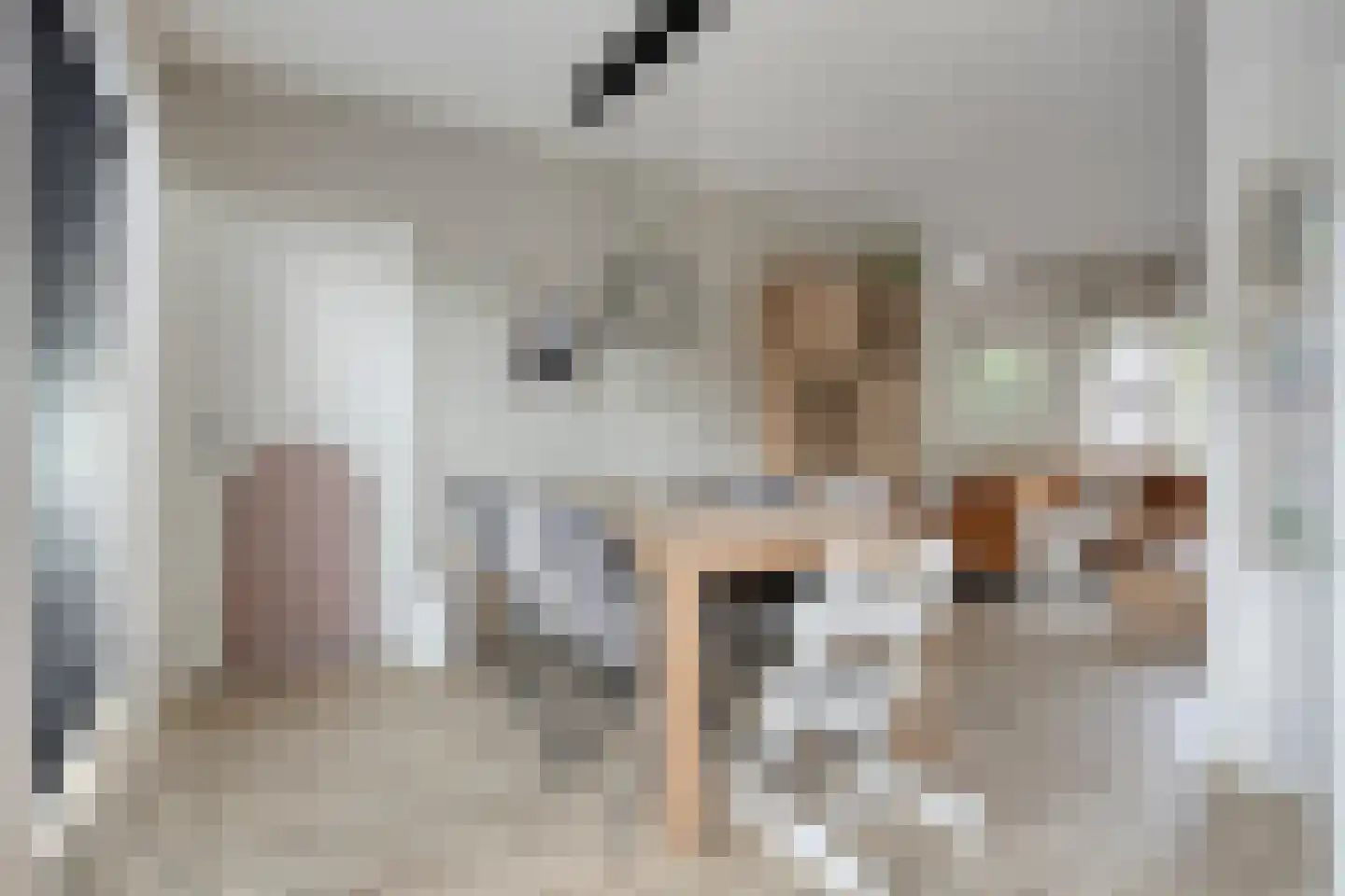 van Vollenhovenstraat 15 Hulst thumbnail 9