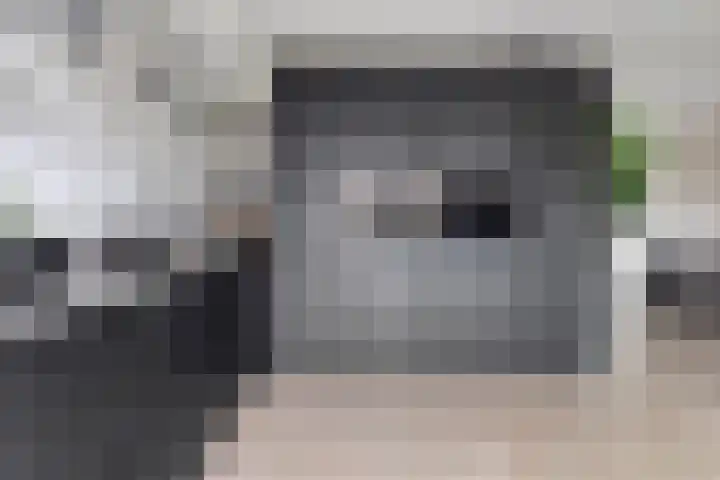 van Vollenhovenstraat 21 Hulst thumbnail 10