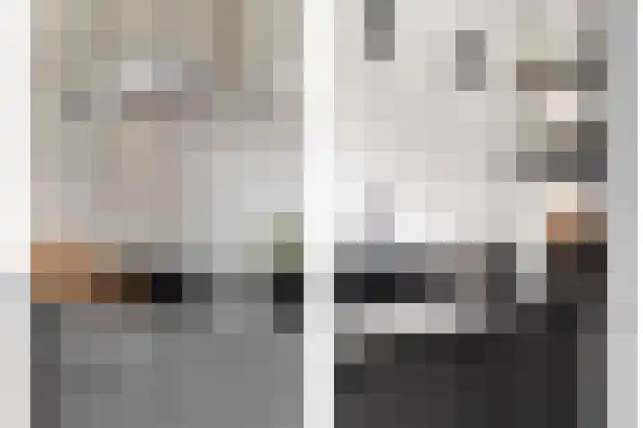 van Vollenhovenstraat 21 Hulst thumbnail 11