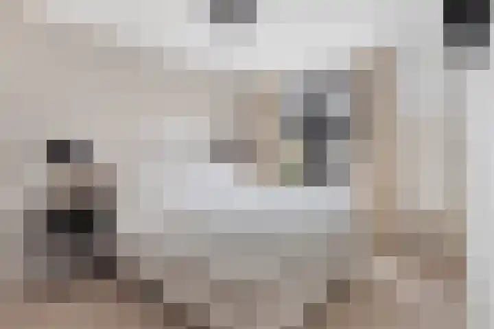 van Vollenhovenstraat 21 Hulst thumbnail 12