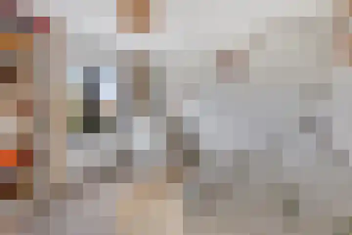 van Vollenhovenstraat 21 Hulst thumbnail 13