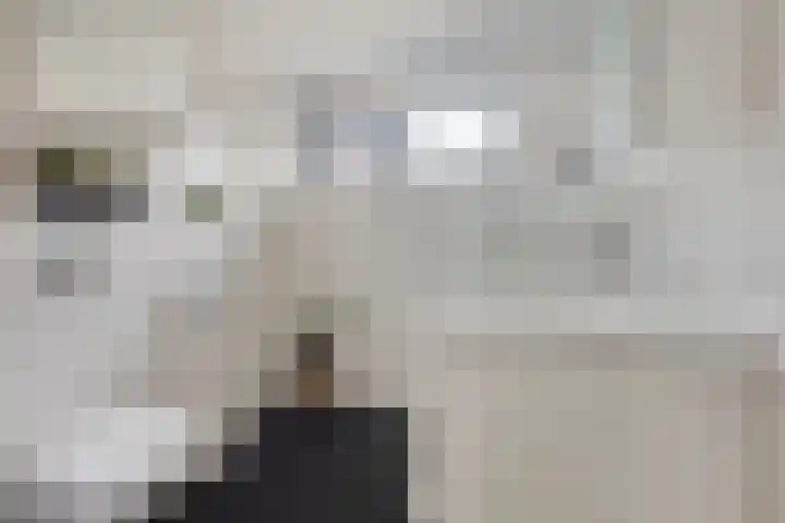 van Vollenhovenstraat 21 Hulst thumbnail 15