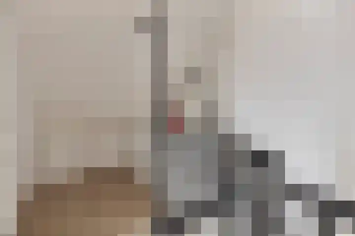 van Vollenhovenstraat 21 Hulst thumbnail 17
