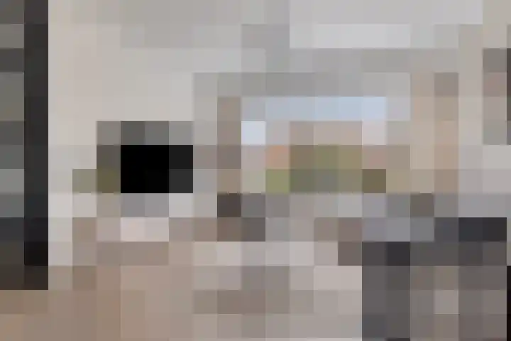van Vollenhovenstraat 21 Hulst thumbnail 4