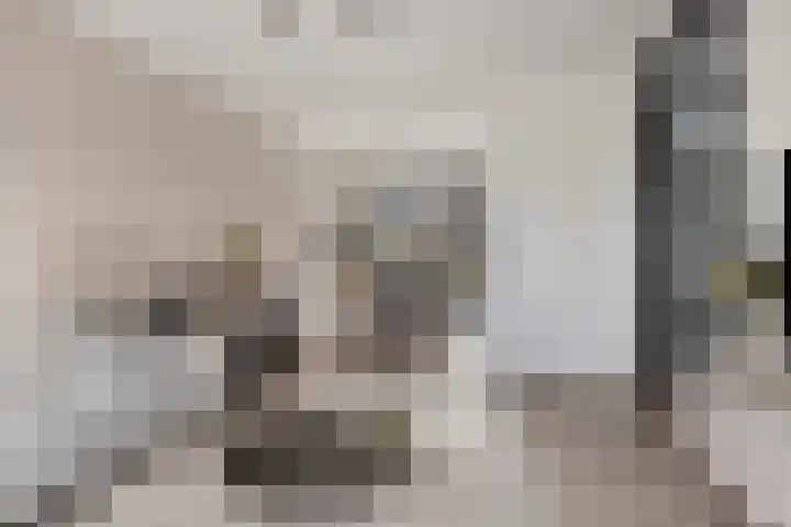 van Vollenhovenstraat 21 Hulst thumbnail 5