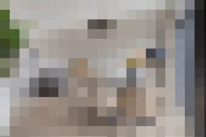 van Vollenhovenstraat 21 Hulst thumbnail 7
