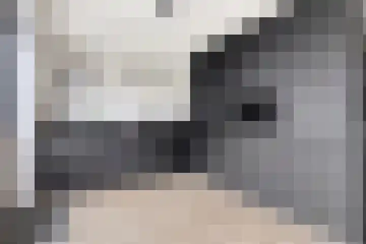 van Vollenhovenstraat 21 Hulst thumbnail 8
