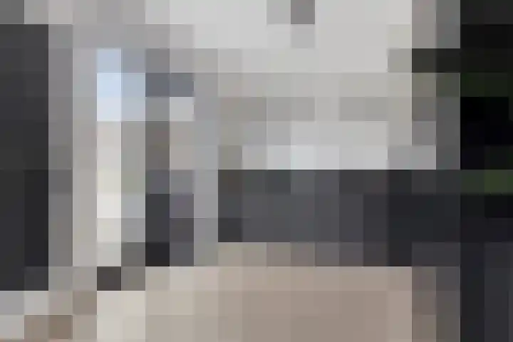 van Vollenhovenstraat 21 Hulst thumbnail 9