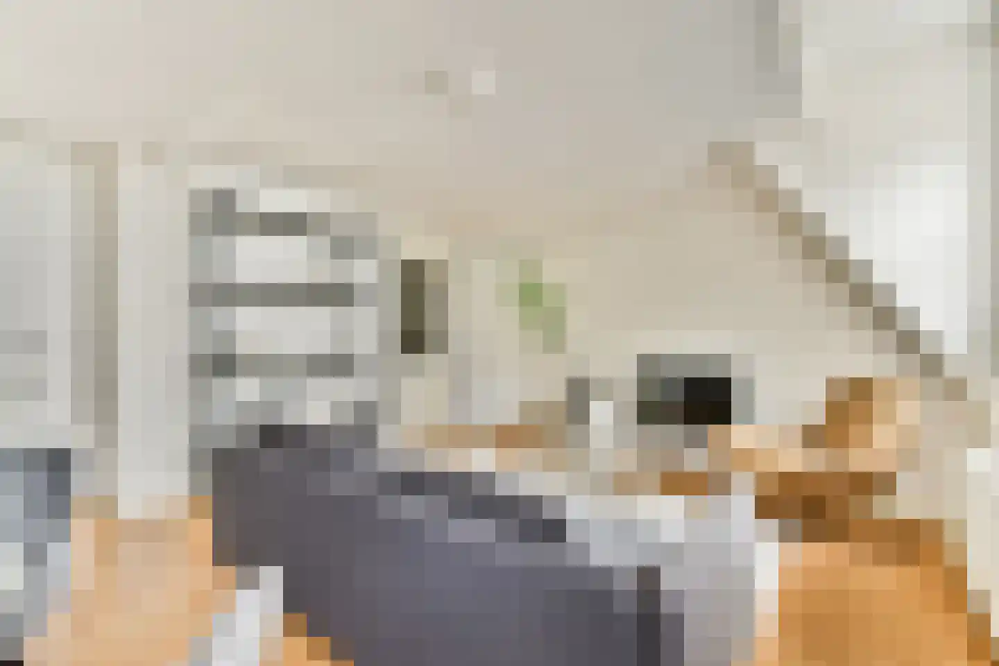 Van Vollenhovenstraat 26 B Rotterdam thumbnail 7