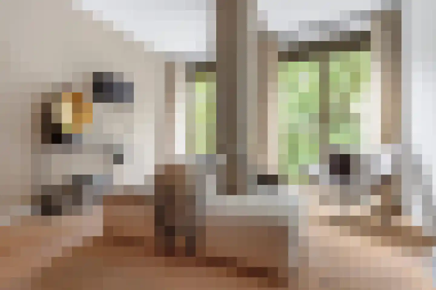 Van Vollenhovenstraat 3 111 Rotterdam thumbnail 6