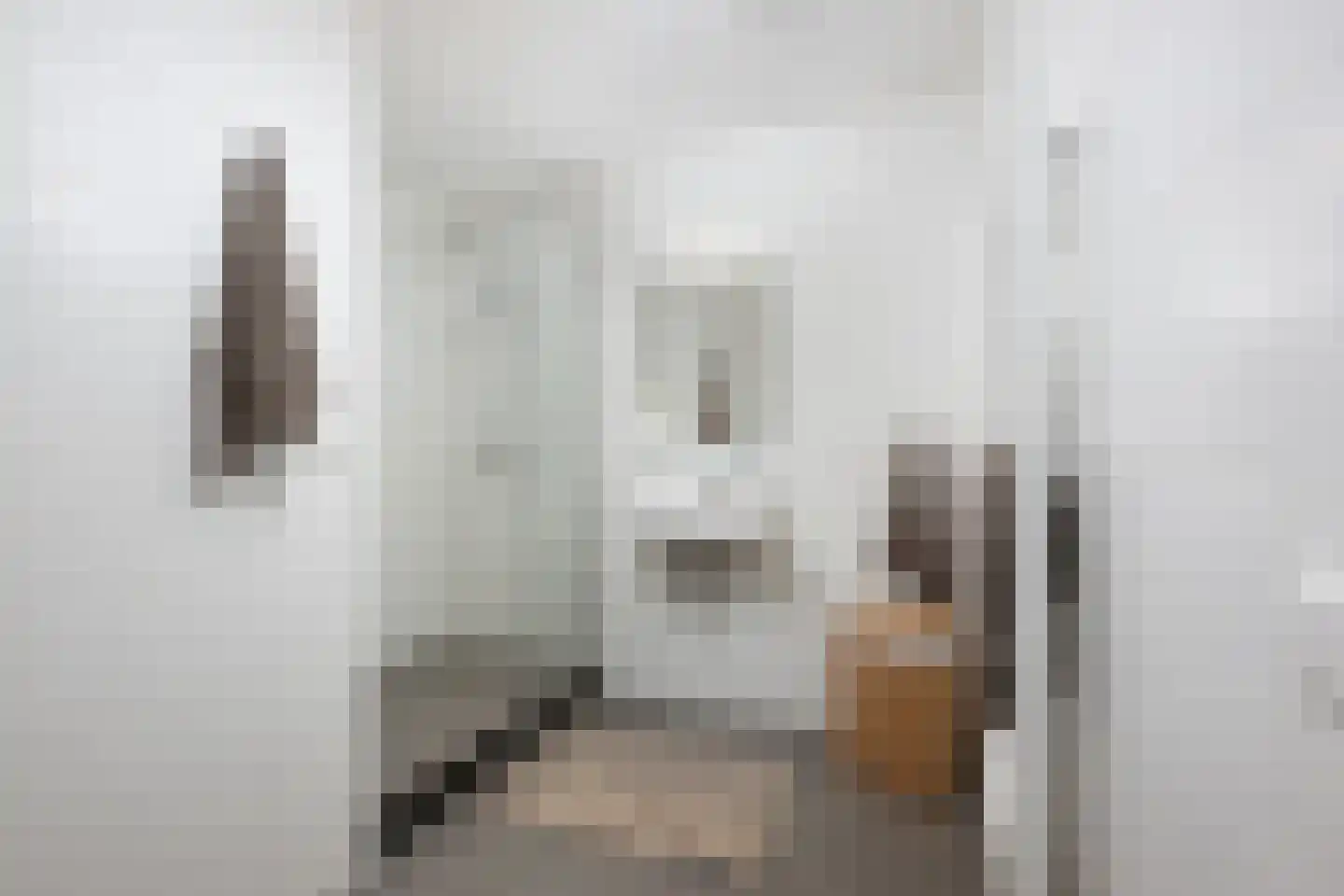 Van Vollenhovenstraat 3 315 Rotterdam thumbnail 14