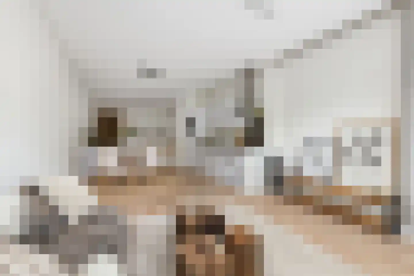 Van Vollenhovenstraat 3 315 Rotterdam thumbnail 7