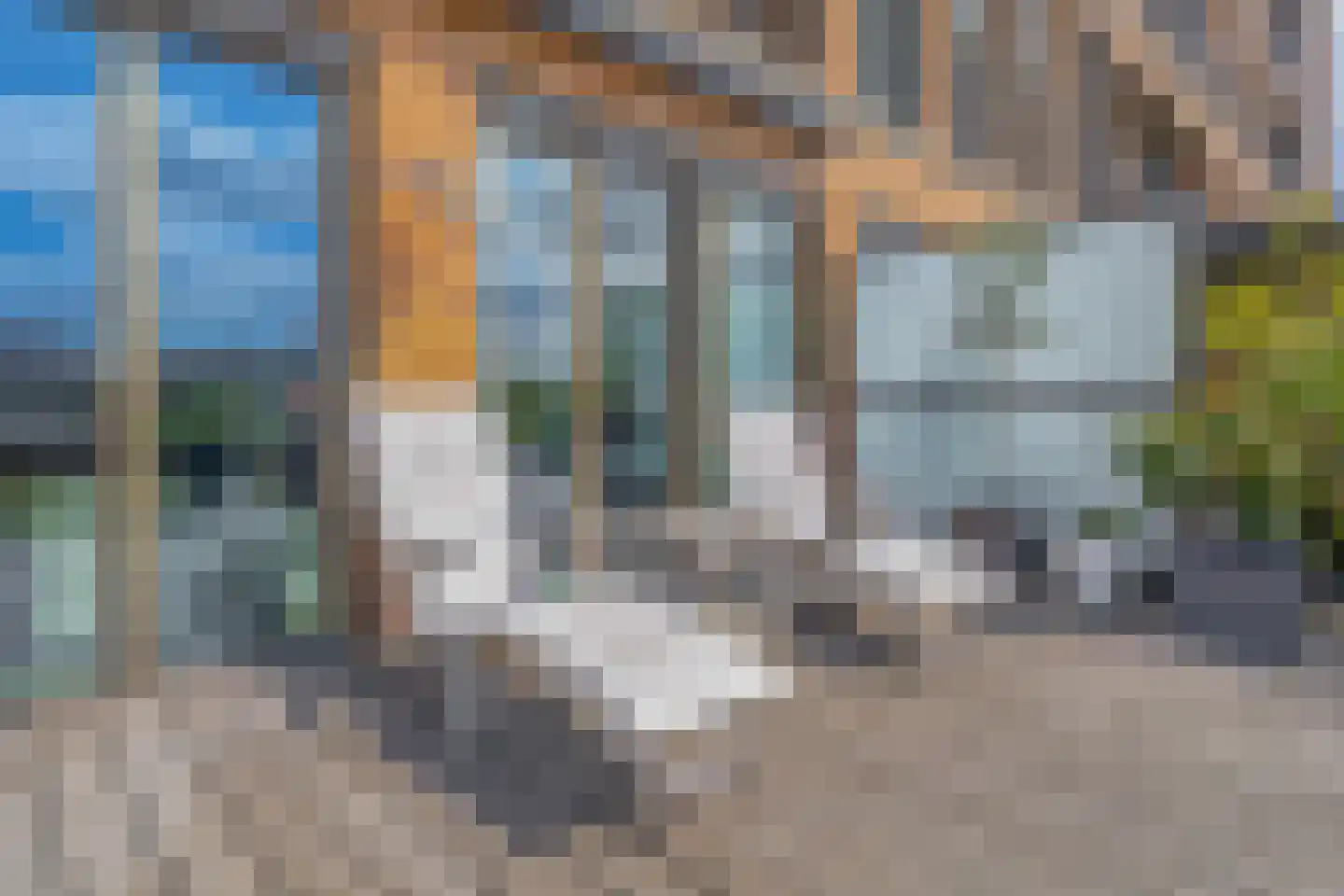Van Vollenhovenstraat 3 512 Rotterdam thumbnail 18