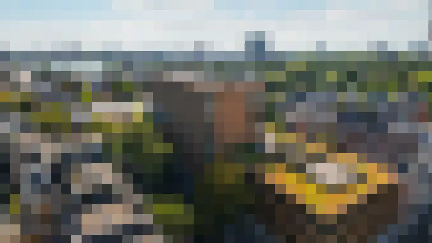 Van Vollenhovenstraat 3 805 Rotterdam thumbnail 26