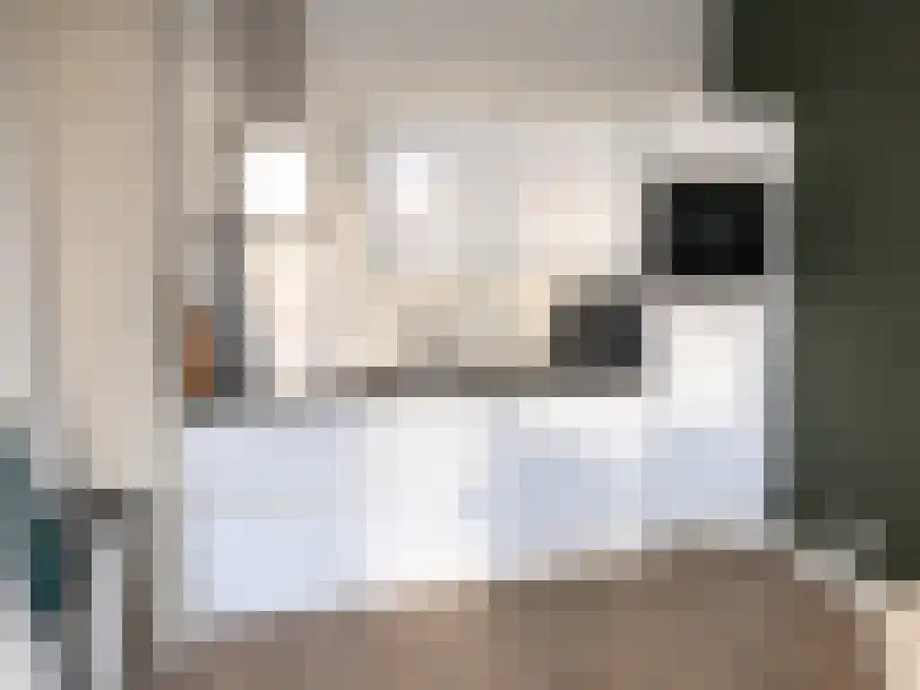 Van Vollenhovenstraat 3 Rotterdam thumbnail 4