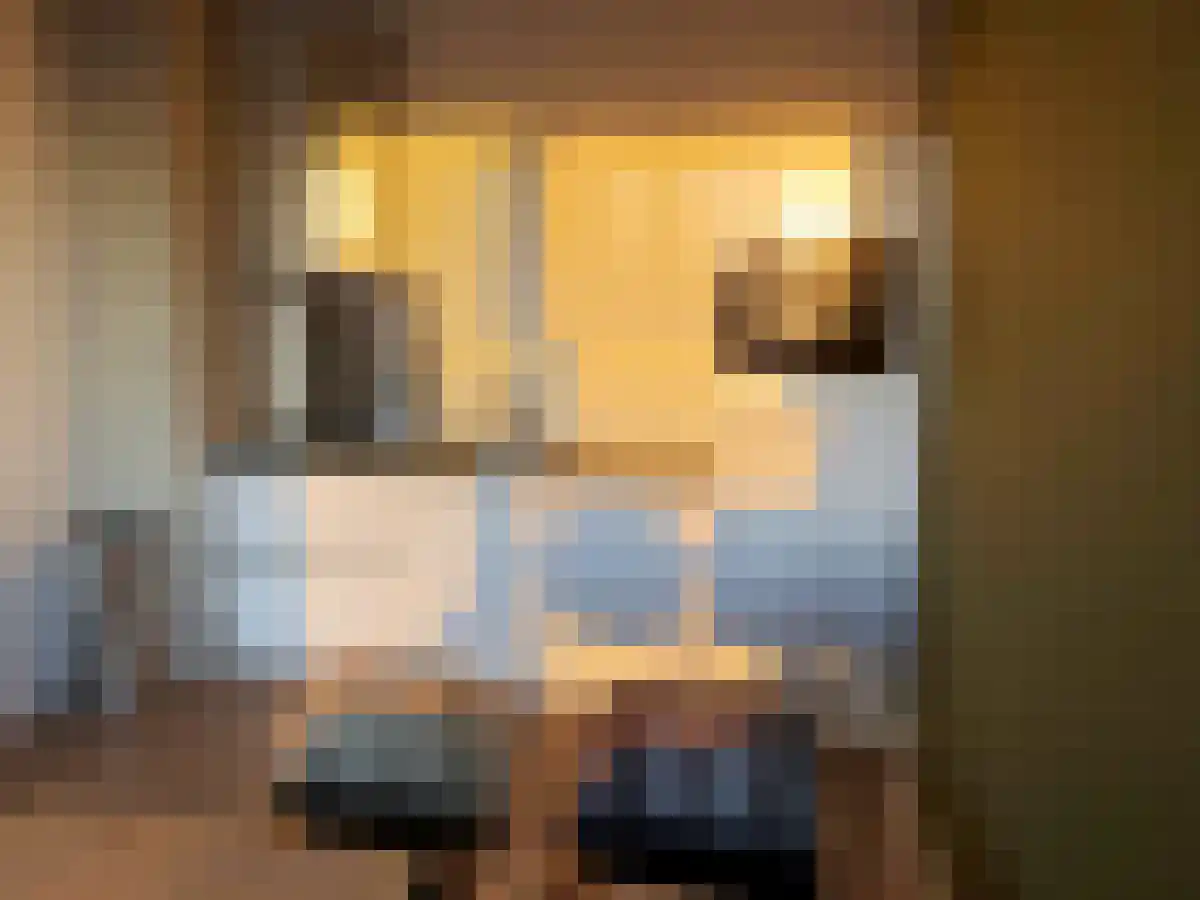 Van Vollenhovenstraat 3 Rotterdam thumbnail 5