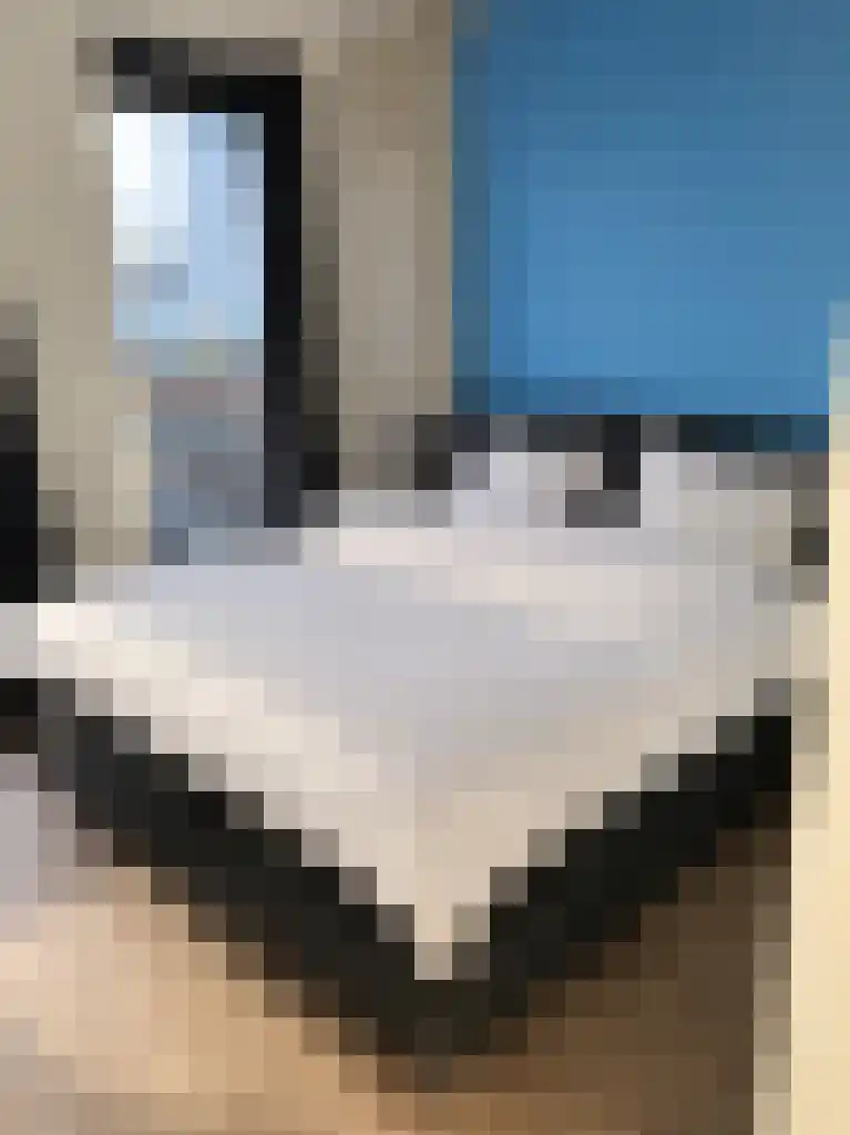 Van Vollenhovenstraat 3 Rotterdam thumbnail 6