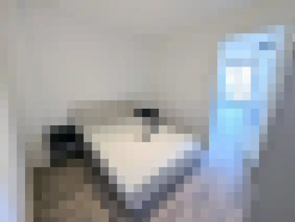 Van Vollenhovenstraat 3 Rotterdam thumbnail 6
