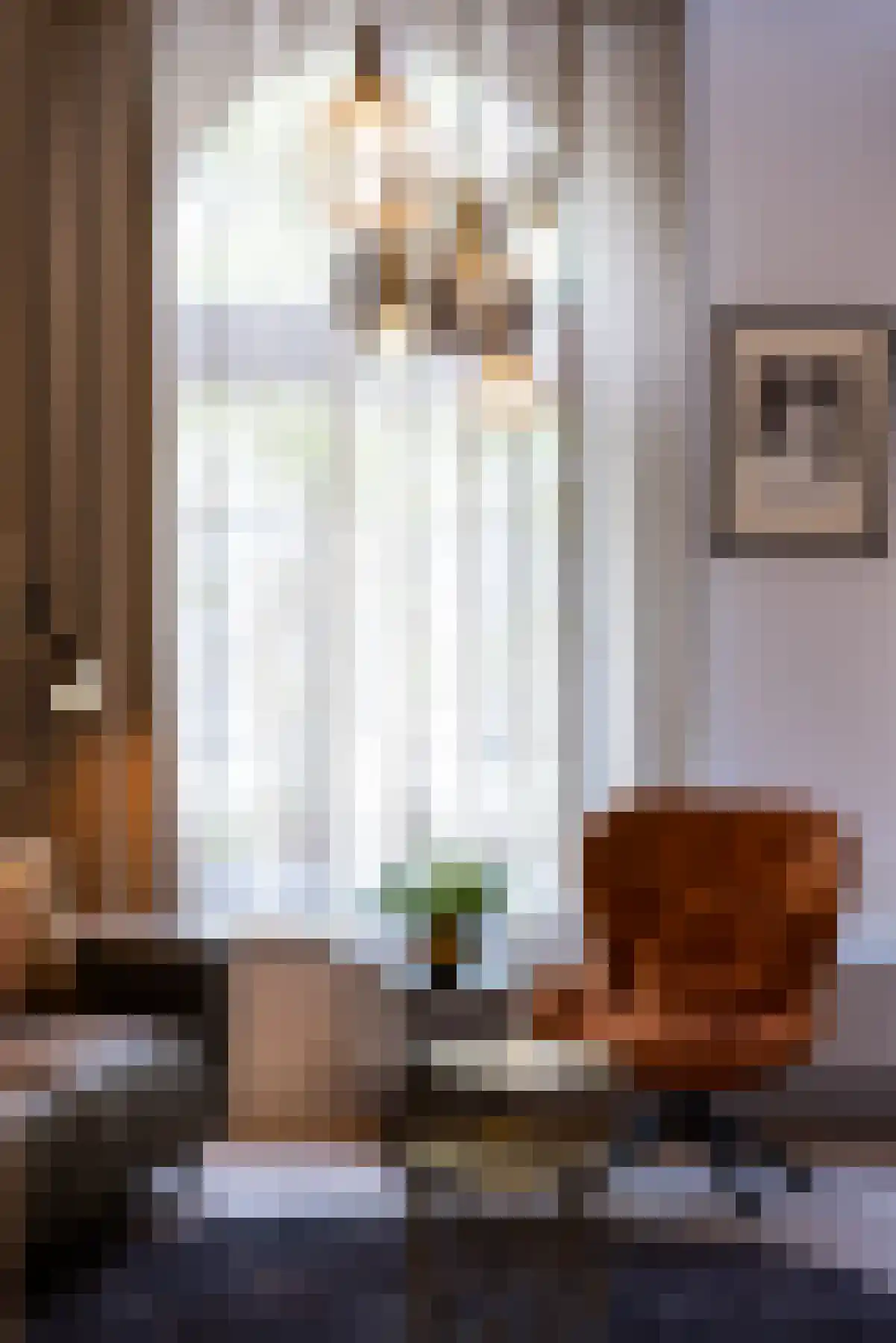 Van Vollenhovenstraat 30 A Rotterdam thumbnail 36