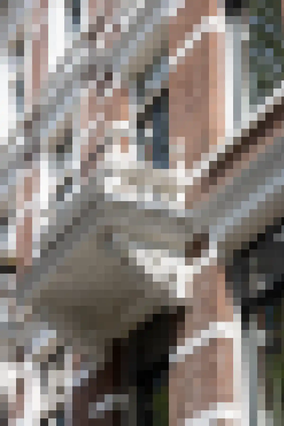 Van Vollenhovenstraat 30 A Rotterdam thumbnail 63