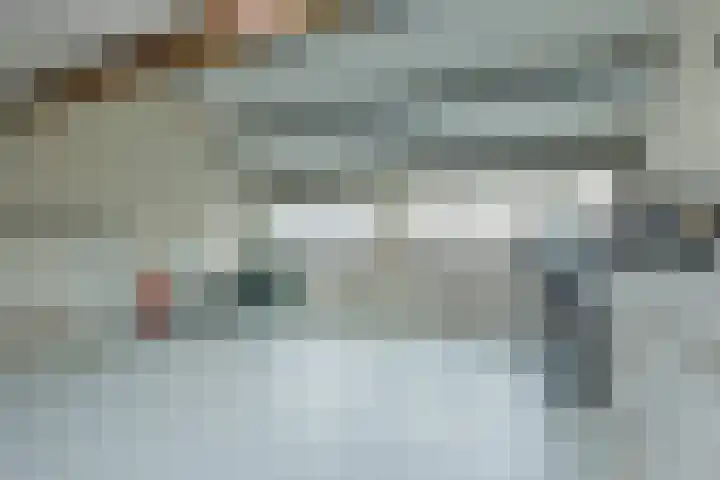 Van Vollenhovenstraat 31 Piershil thumbnail 32