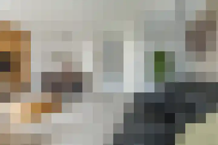 Van Vollenhovenstraat 31 Piershil thumbnail 4