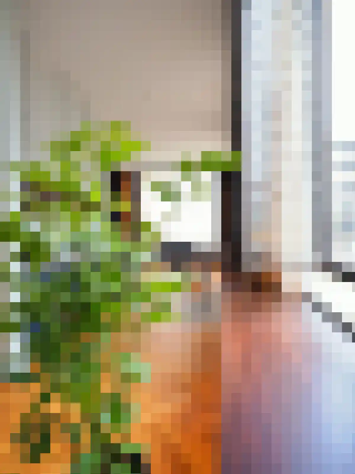 Van Vollenhovenstraat 38 Rotterdam thumbnail 6