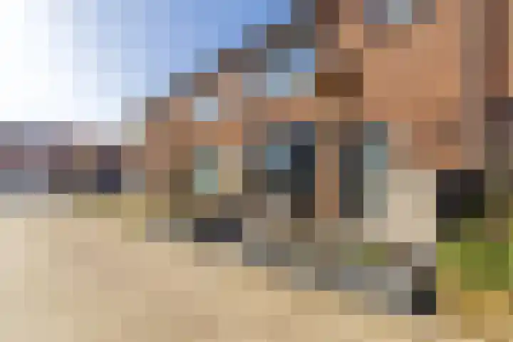 Van Vollenhovenstraat 5 Piershil thumbnail 31