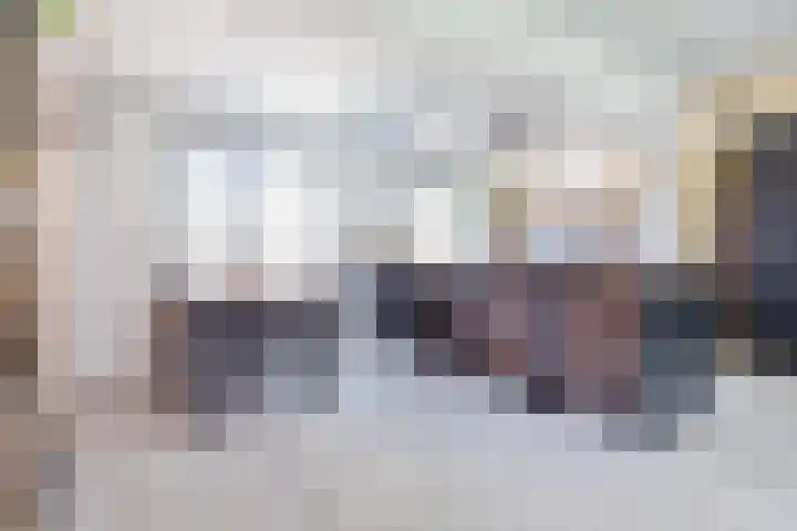 Van Vollenhovenstraat 5 Piershil thumbnail 5