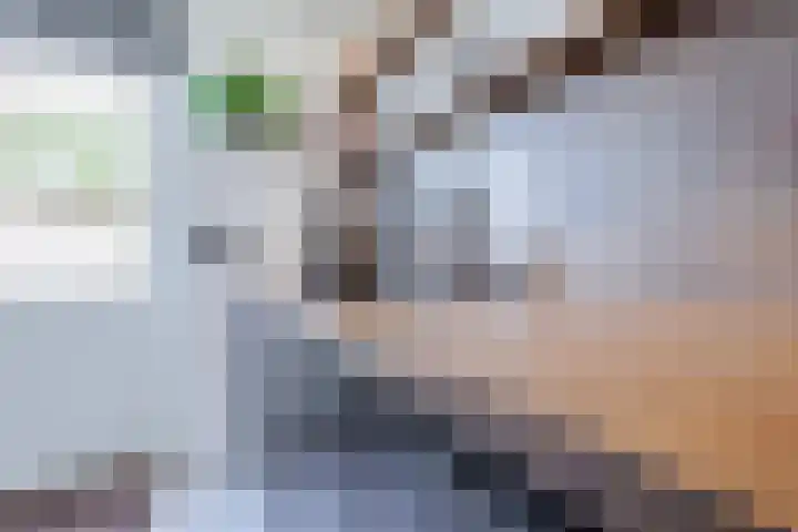 Van Vollenhovenstraat 5 Piershil thumbnail 7
