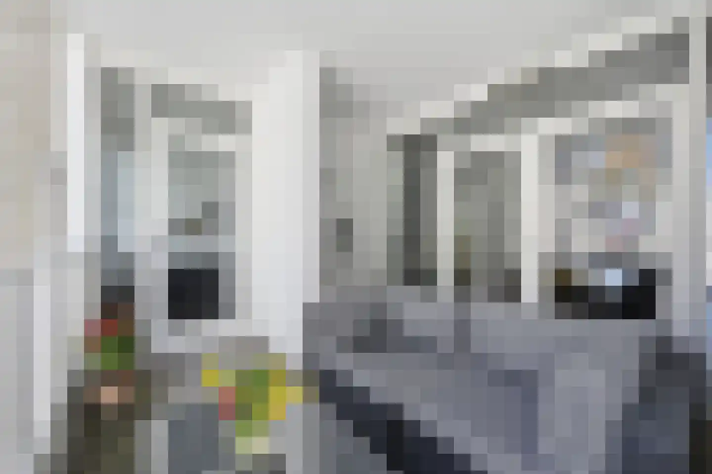 Van Vollenhovenstraat 60 B 02 Rotterdam thumbnail 5