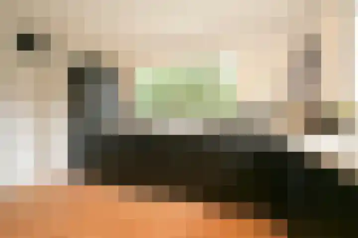 Van Voorschotenlaan 12 Den Haag thumbnail 12
