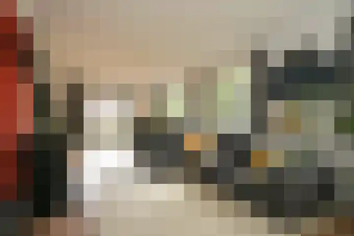 Van Voorschotenlaan 12 Den Haag thumbnail 23