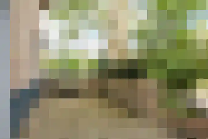 Van Voorschotenlaan 12 Den Haag thumbnail 27
