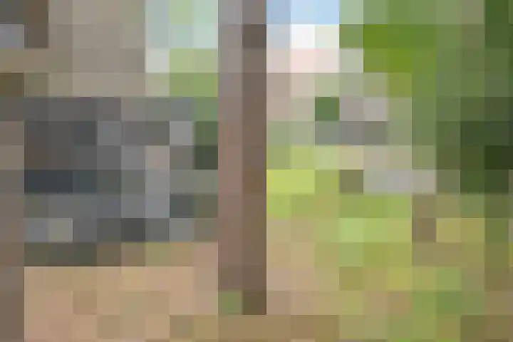Van Voorschotenlaan 12 Den Haag thumbnail 30