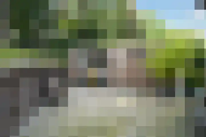 Van Voorschotenlaan 12 Den Haag thumbnail 35