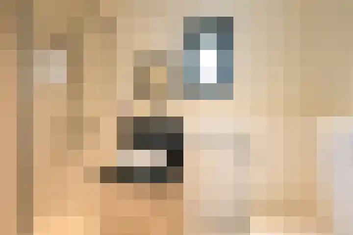Van Voorschotenlaan 12 Den Haag thumbnail 39