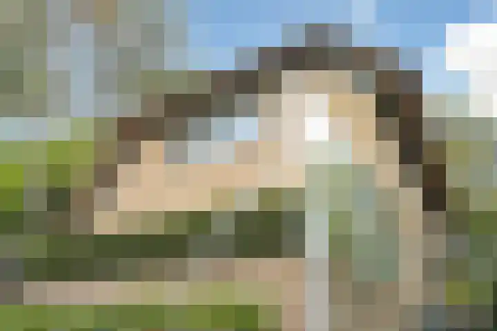 Van Voorschotenlaan 12 Den Haag thumbnail 4