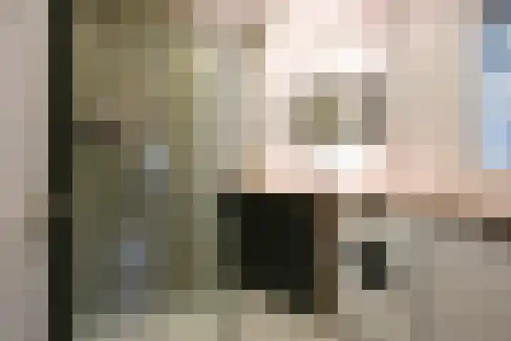 Van Voorschotenlaan 12 Den Haag thumbnail 42