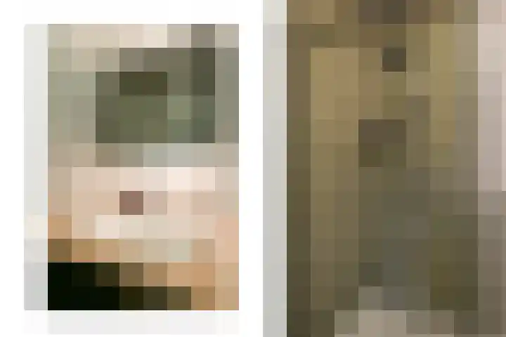 Van Voorschotenlaan 12 Den Haag thumbnail 43