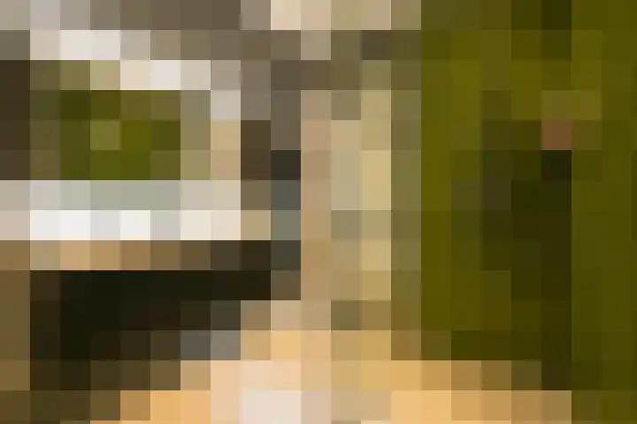 Van Voorschotenlaan 12 Den Haag thumbnail 51