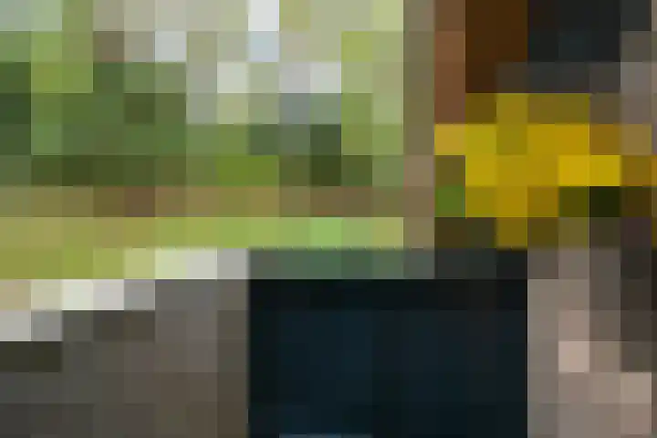 Van Voorschotenlaan 12 Den Haag thumbnail 56