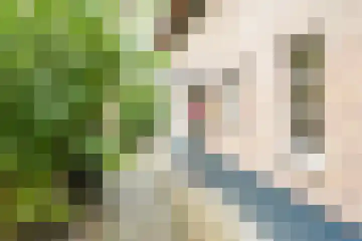 Van Voorschotenlaan 12 Den Haag thumbnail 6