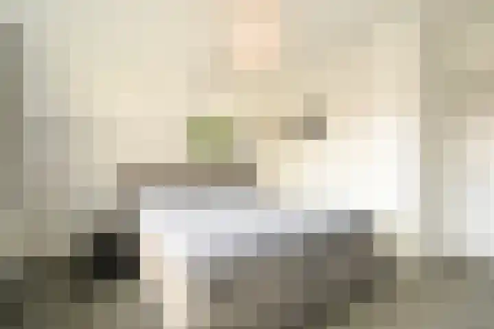 Van Voorschotenlaan 12 Den Haag thumbnail 62